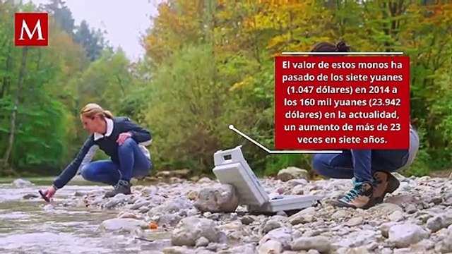 En China, precio de monos para pruebas de farmacéuticas se dispara