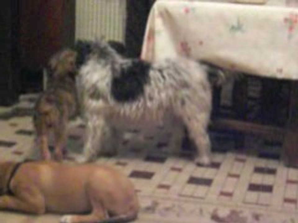 Cannelle et Maitika jouent