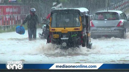 Tải video: സംസ്ഥാനത്ത് ഏഴ് ജില്ലകളിൽ യെല്ലോ അലർട്ട്; വ്യാപക മഴക്ക് സാധ്യത