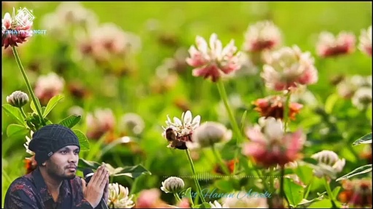 BERBAKTI KEPADA ORANG TUA __ Ustadz Hanan Attaki