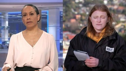 Woman killed and man injured by falling tree in Tasmania