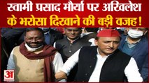 सहयोगियों की नाराजगी झेल कर भी akhilesh yadav ने swami prasad maurya को दी तवज्जो, जानिए कारण।