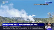Les images de l'important feu de forêt qui a ravagé une dizaine d'hectares dans l'arrière pays de Grasse