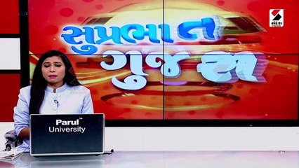 આણંદના બોરસદમાં હિંસક અથડામણ, પથ્થરમારો અને આગચંપીનો બનાવ