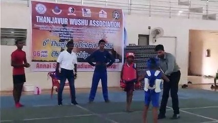 Aathil Fight(wushu-sanshou)
