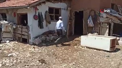 1,3 tonluk kurbanlık boğa 80 bin liradan satışa çıktı