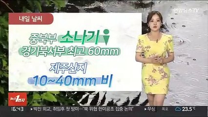 [날씨] 저녁까지 내륙 곳곳 소나기…내일 중북부·제주산간 비
