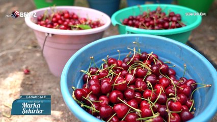 Marka Şehirler 12 Haziran 2022