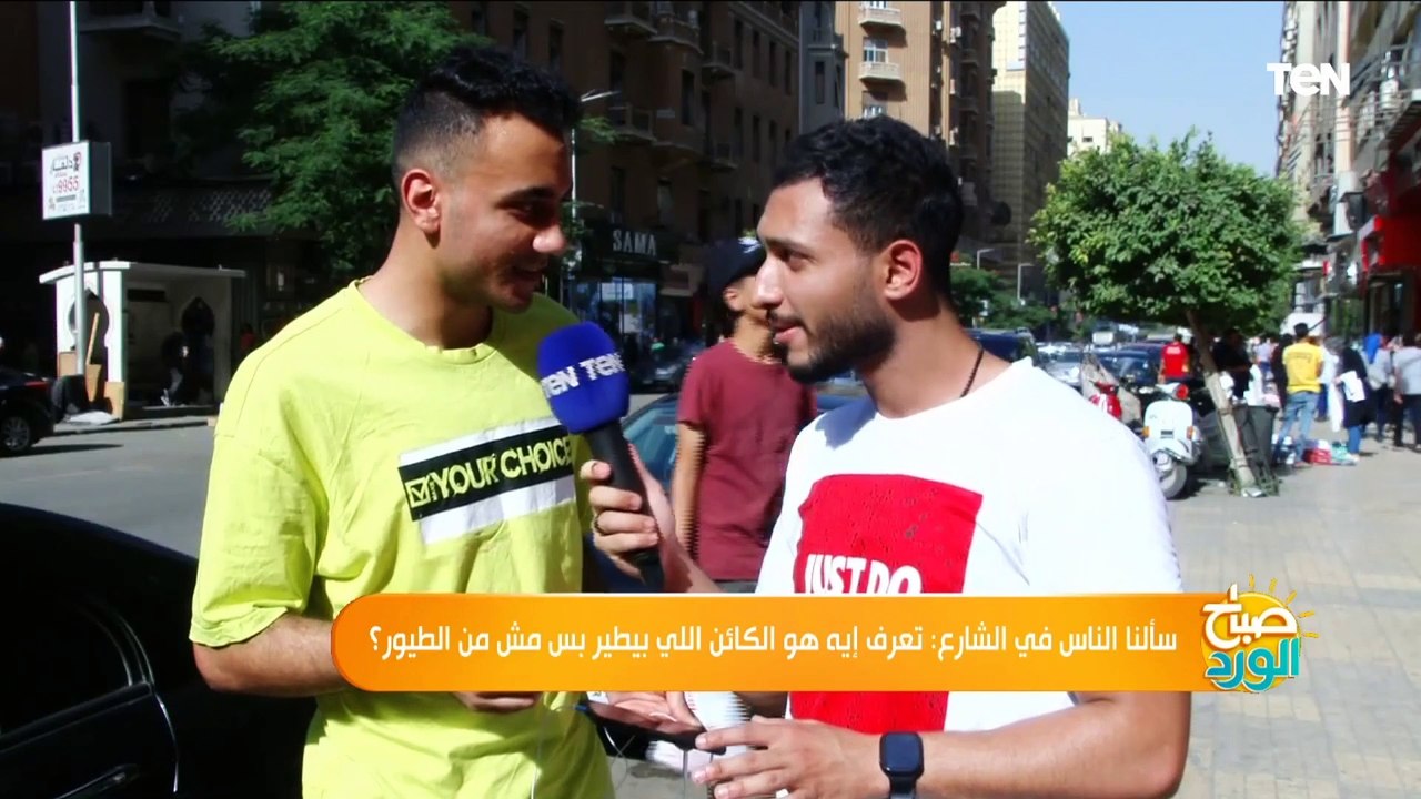 سألنا الناس عن الكائن اللي بيطير بس مش من الطيور؟ شوف إجابة المصريين