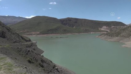 Alkumru Baraj Gölü'nde kafeslerde yılda 200 ton alabalık yetiştiriliyor