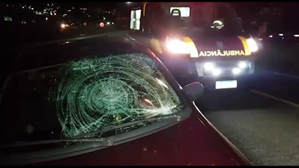 Homem que estava avisando sobre boi solto na marginal é atropelado por familiar de vítima de capotamento na BR-277