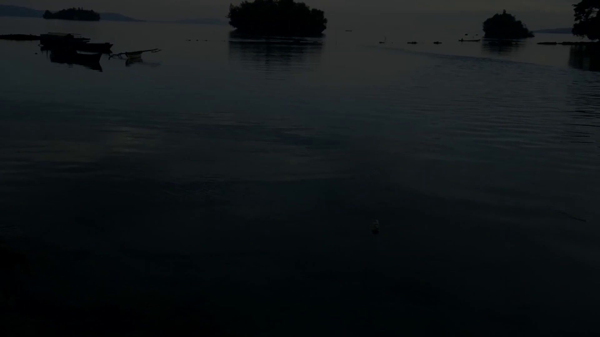 ⁣Good Nature Music for Relaxation_Nature Bird Sounds, Musik Alam untuk Relaksasi (Suara Burung Alam)