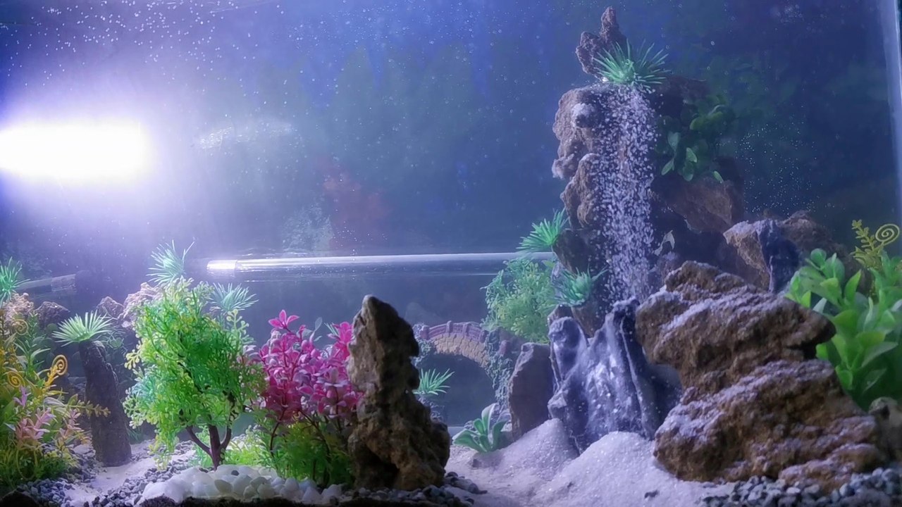 Aquarium