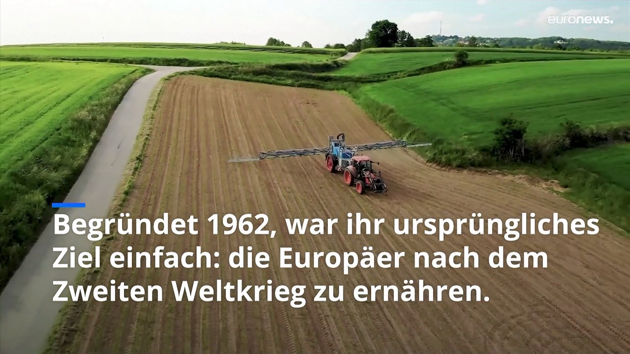 Kann Europas Agrarpolitik eine Lösung in der Lebensmittelkrise sein?