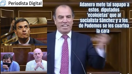 Adanero mete tal sopapo a los diputados ecolojetas que a Sánchez y a Podemos se les cuartea la cara