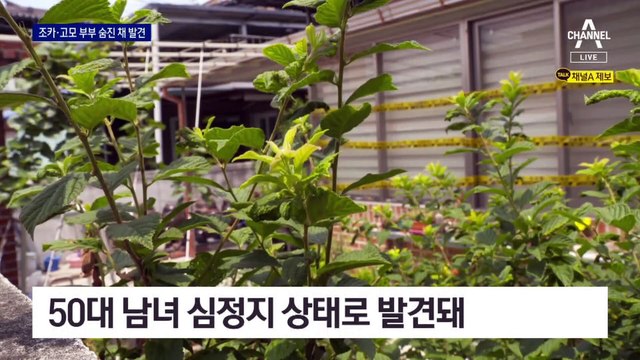 20대 조카, 고모 부부 살해 뒤 극단적 선택…범행 동기 수사 중