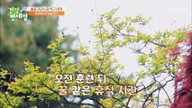 현정화 감독의 은퇴 후에도 현역 못지않은 운동량 TV CHOSUN 20220612 방송