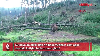 Kütahya'da tüyler ürperten görüntü! '77 yaşına geldim, böyle bir şey görmedim'