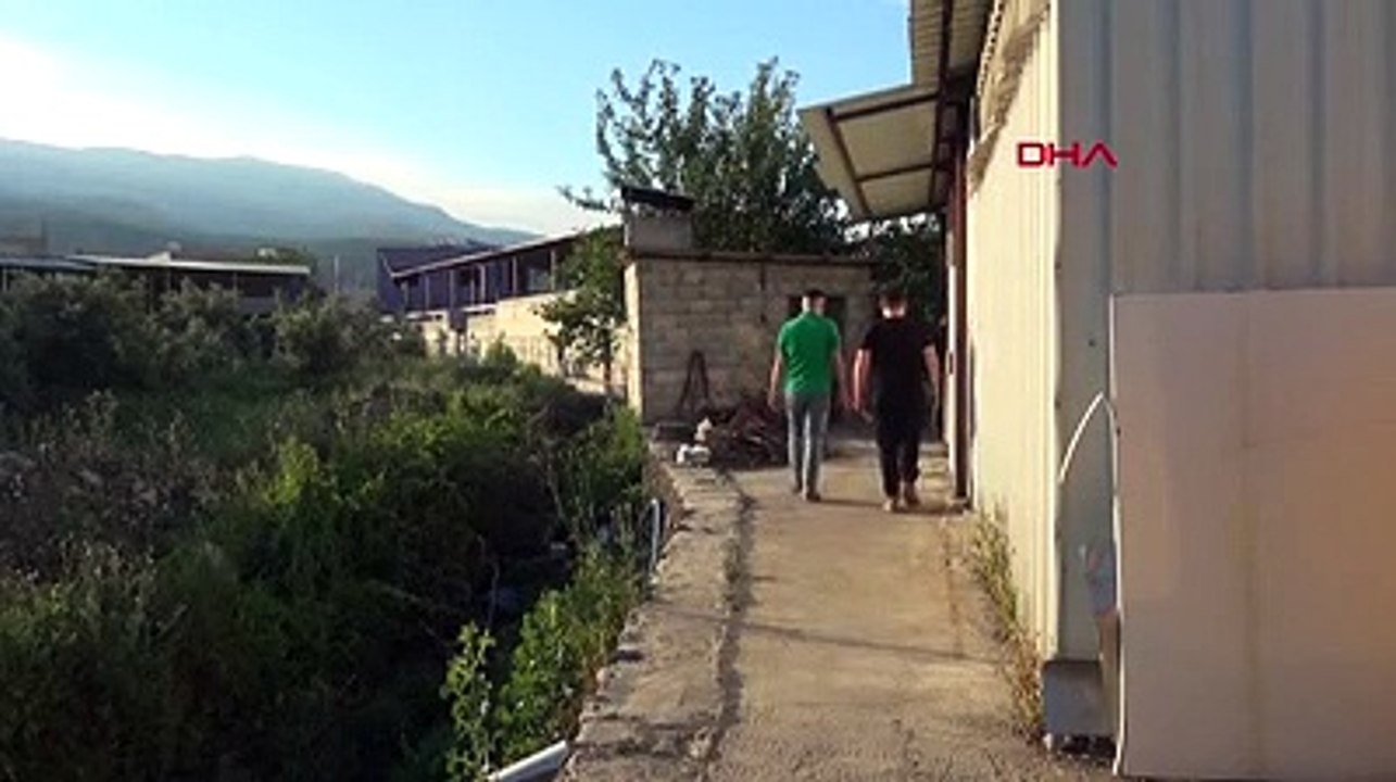 Yılan avcısı, eve giren ölümcül yılanı elleriyle yakaladı