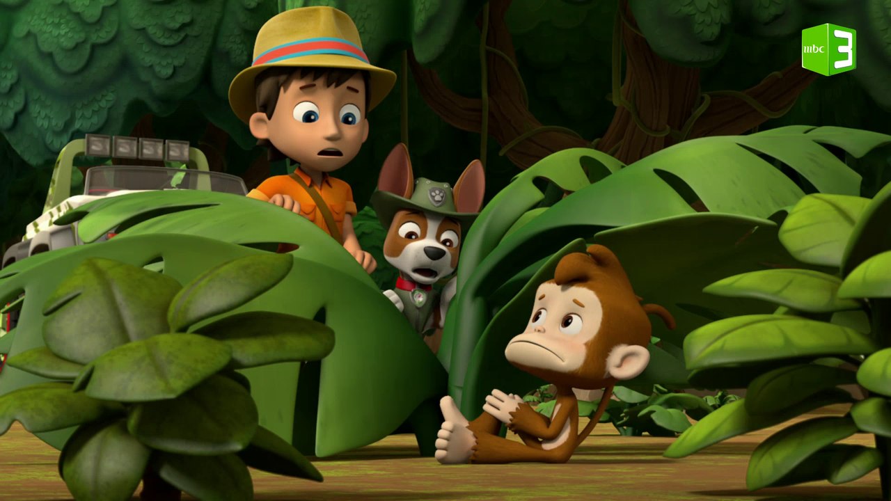 أصوات فقاقيع تطرد الحيوانات من الغابة والسبب..