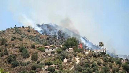 Logran extinguir el incendio que comenzó en un paraje de Torrox
