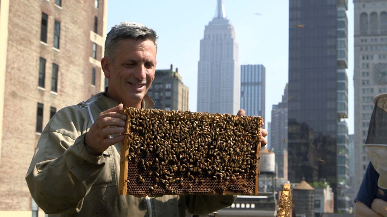 Meet the man with over 100 beehives in the heart of New York City