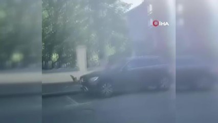 Rusya'da anne ördek, yavrularının fotoğrafını çekmek isteyen kişiyi kovaladı