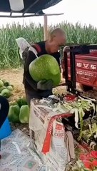 Bu meyve merak konusu oldu