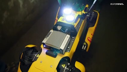 Un chien robot déambule dans les rues de Pompéi