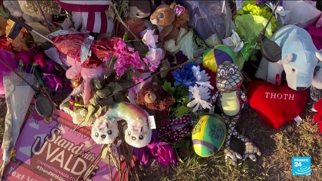 'Enough is enough': Thousands demonstrate for tighter US firearms laws