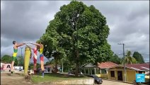 Pair's disappearance in Brazil's Amazon tied to 'fish mafia'