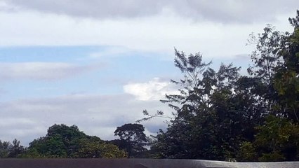 Boeing 777-300ER PT-MUJ vindo de Guarulhos para Manaus