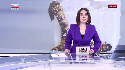 Plastik Yiyen Süper Solucanlar Geri Dönüşüm İçin Umut Olabilir Mi? - TGRT Haber