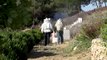 Grèce: sur l'île de Leros, soigner les patients d'un asile avec les abeilles