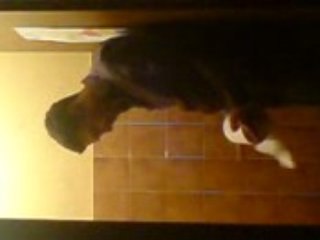 Lito fin de soirée aux chiottes