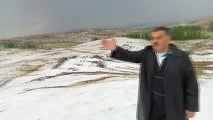 Dolu ekili alanlarda hasara neden oldu