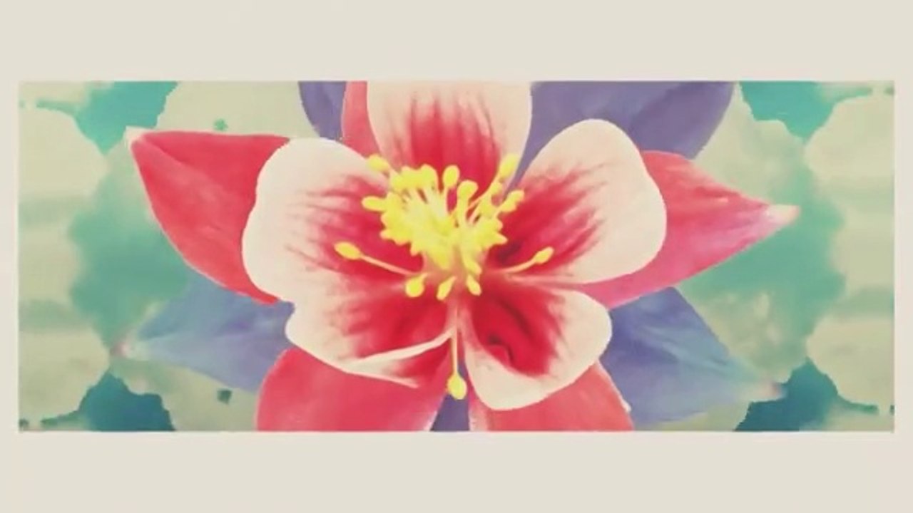 Zapukaj do moich drzwi - odc.120