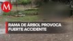 Accidente por caída de rama de árbol en carretera de Veracruz deja un muerto y dos heridos