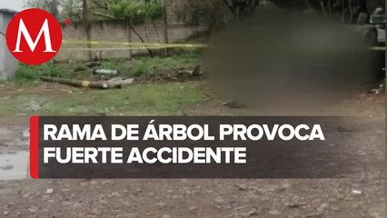 Download Video: Accidente por caída de rama de árbol en carretera de Veracruz deja un muerto y dos heridos