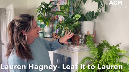 Lauren Hagney- Leaf it to Lauren | ACM | 09/06/2022