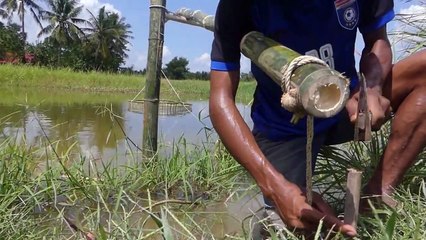 Build Unique Primitive Fish Trapping Tool Using Traditional Trap That Work 100%