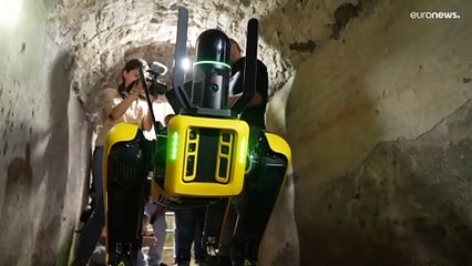 Auf den Hund gekommen: Roboter "Spot" schnüffelt in Pompejis Vergangenheit
