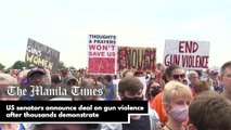 US senators announce deal on gun violence after thousands demonstrate