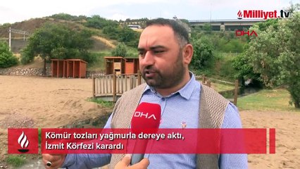 Kömür tozları yağmurla dereye aktı, İzmit Körfezi karardı