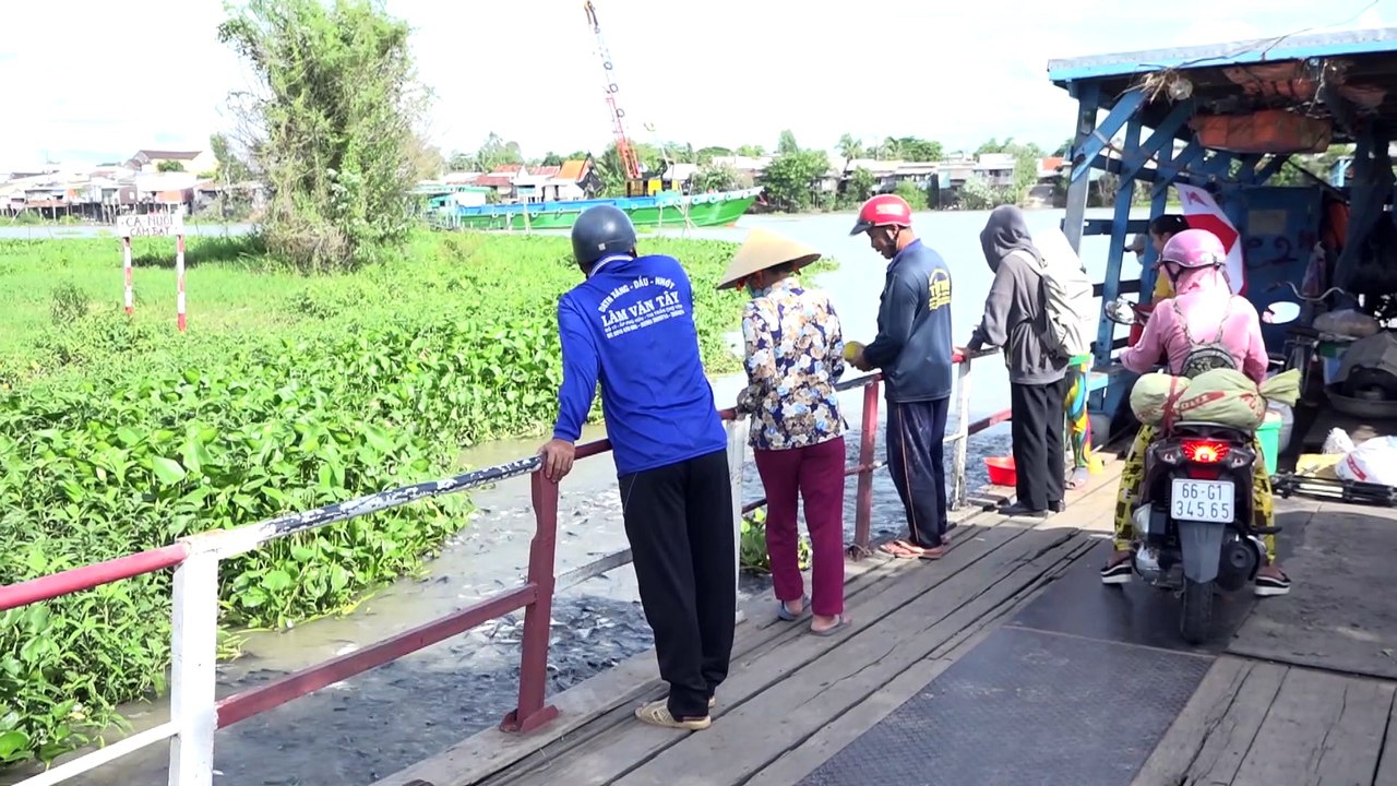 NHÀ HAI LÚA | ĐÀN CÁ TỰ NHIÊN TRÊN BẾN QUÊ