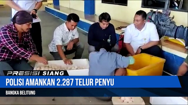 Polda Kepulauan Bangka Belitung Menggagalkan Upaya Penyelundupan Ribuan Telur Penyu