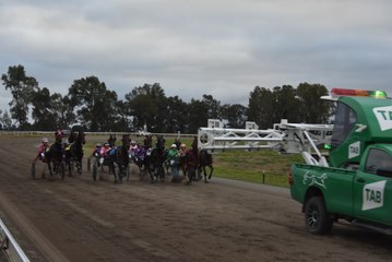 Cowra Harness Racing|Sunday, June 12, 2022|Cowra Guardian