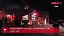 Konya’da balık fabrikası alev alev yandı