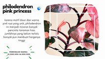 10 TANAMAN HIAS DUNIA YANG LANGKA DAN MAHAL