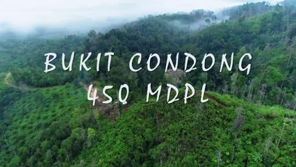 BUKIT CONDONG NEGERI DIATAS AWAN - INDRAGIRI HILIR  RIAU